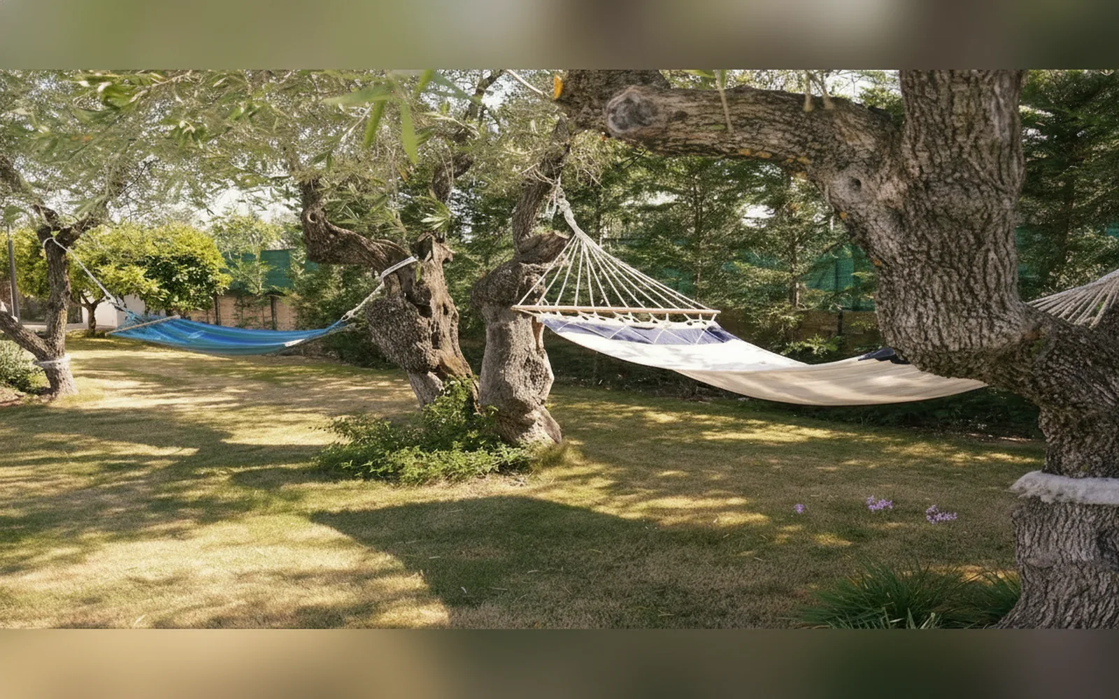 Giardino di Villa Mema, Bisceglie (Puglia) (foto 9)